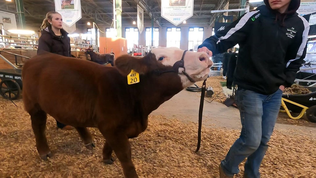 Spotlight on beef as Minnesota midterms near — WCCO / CBS Minnesota, Golden Valley Community news