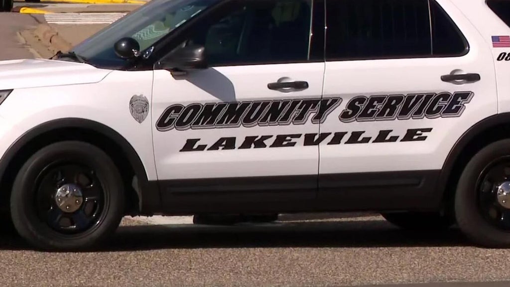 Lakeville man convicted of murdering sister, her unborn child in 2024 — WCCO / CBS Minnesota, Golden Valley Community news