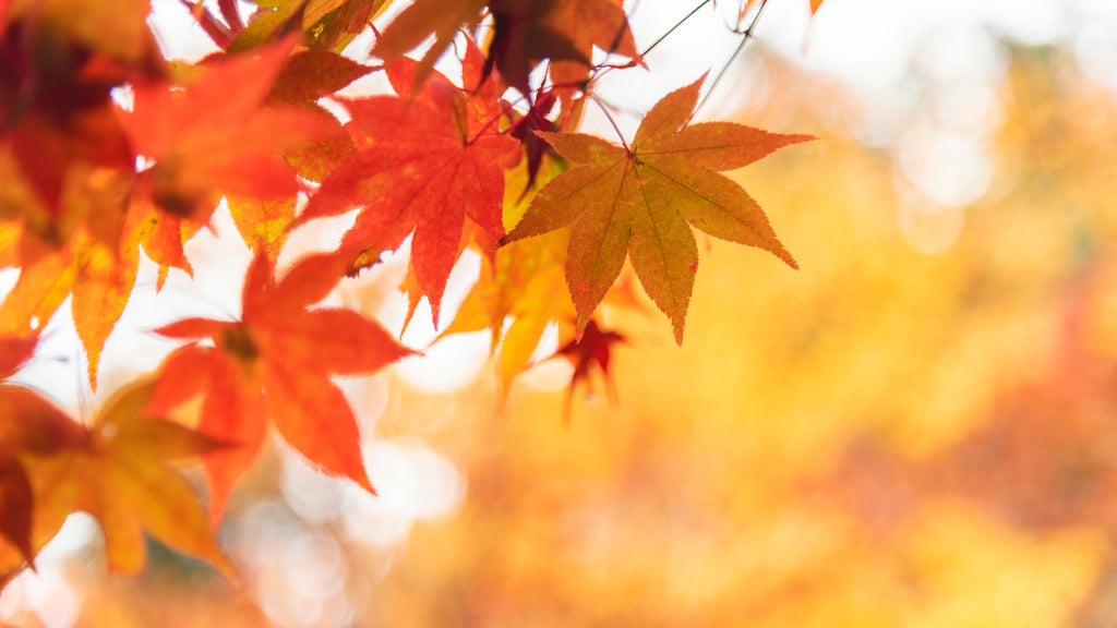 More sunny, mild late October weather in Minnesota Tuesday — WCCO / CBS Minnesota, Golden Valley Business news