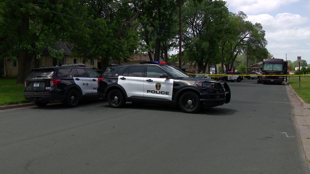 Man sentenced for killing cousin during fight in Bloomington driveway — WCCO / CBS Minnesota, Golden Valley Community news