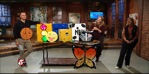 Halloween “Boxtumes” — KSTP 5
