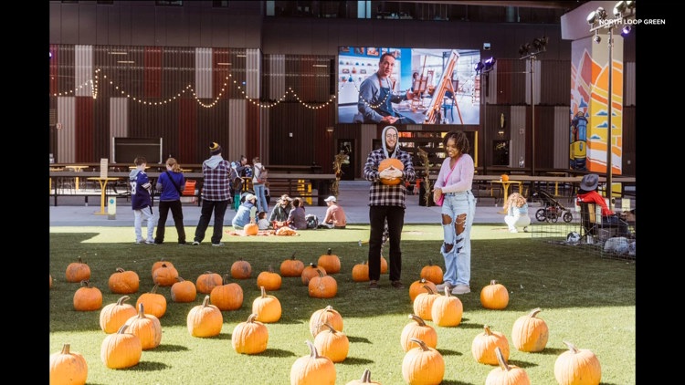 Spooky season with North Loop Green — KARE 11 Local