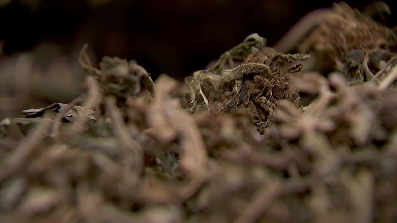 Hemp THC deadline hits $200 million industry, leads to layoffs, but liquor stores may maintain — FOX 9, Golden Valley Business news
