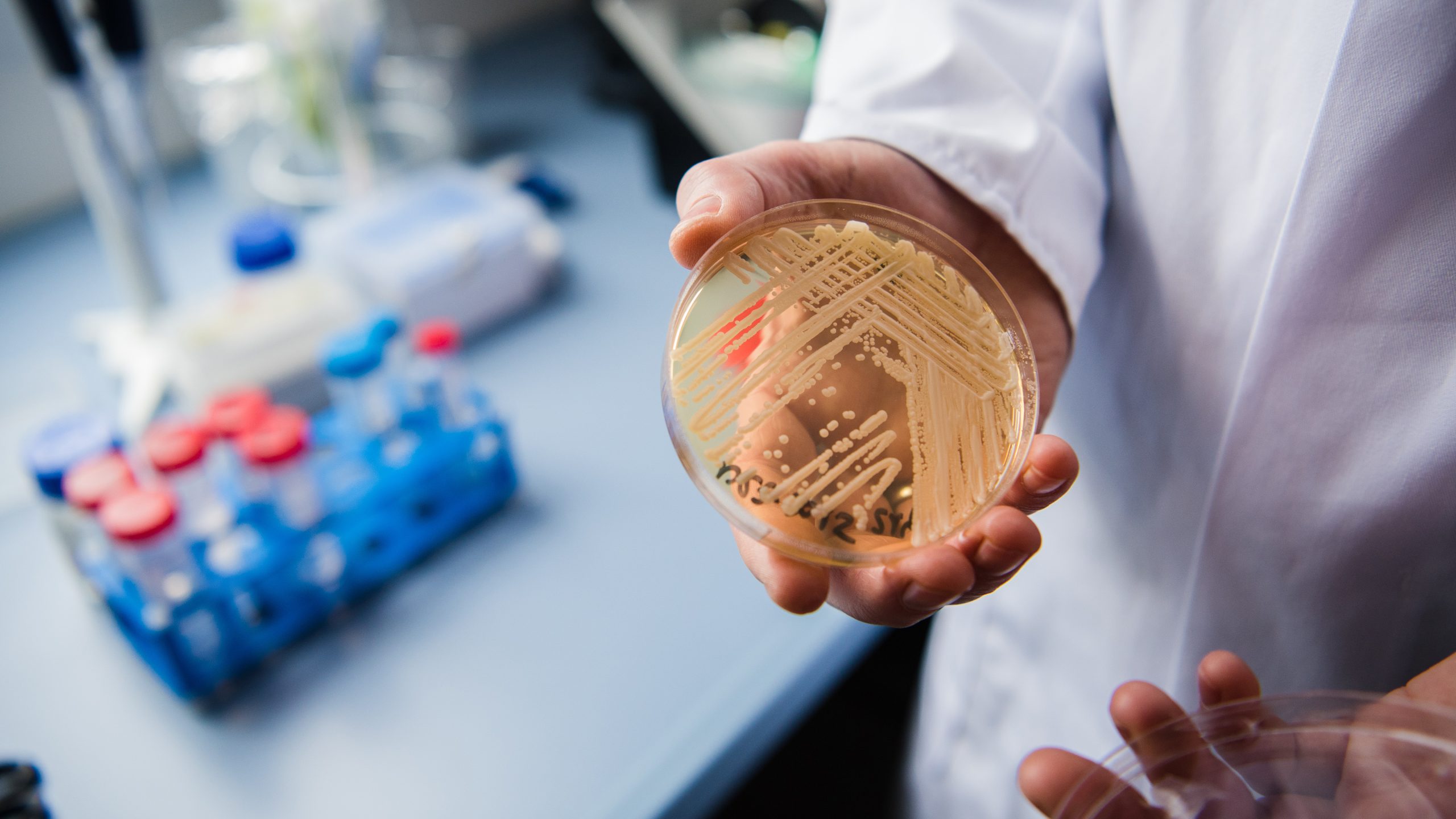 New study reveals why dangerous fungus is so difficult to treat — FOX 9, Golden Valley Community news