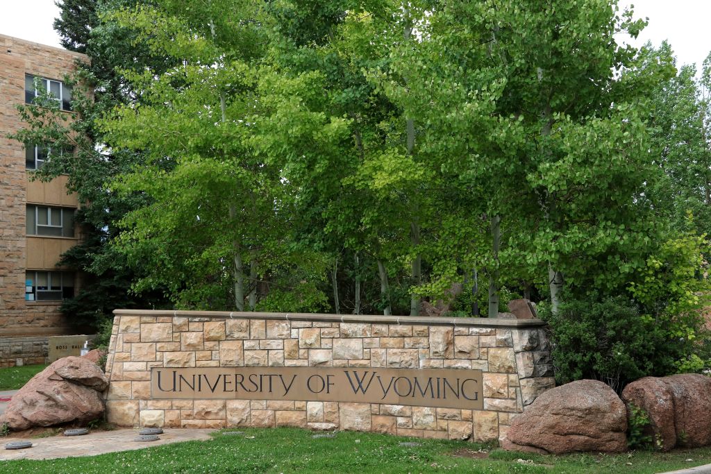 Student accused of poisoning colleague’s tea arrested at airport while allegedly trying to flee country — FOX 9, Golden Valley Schools news