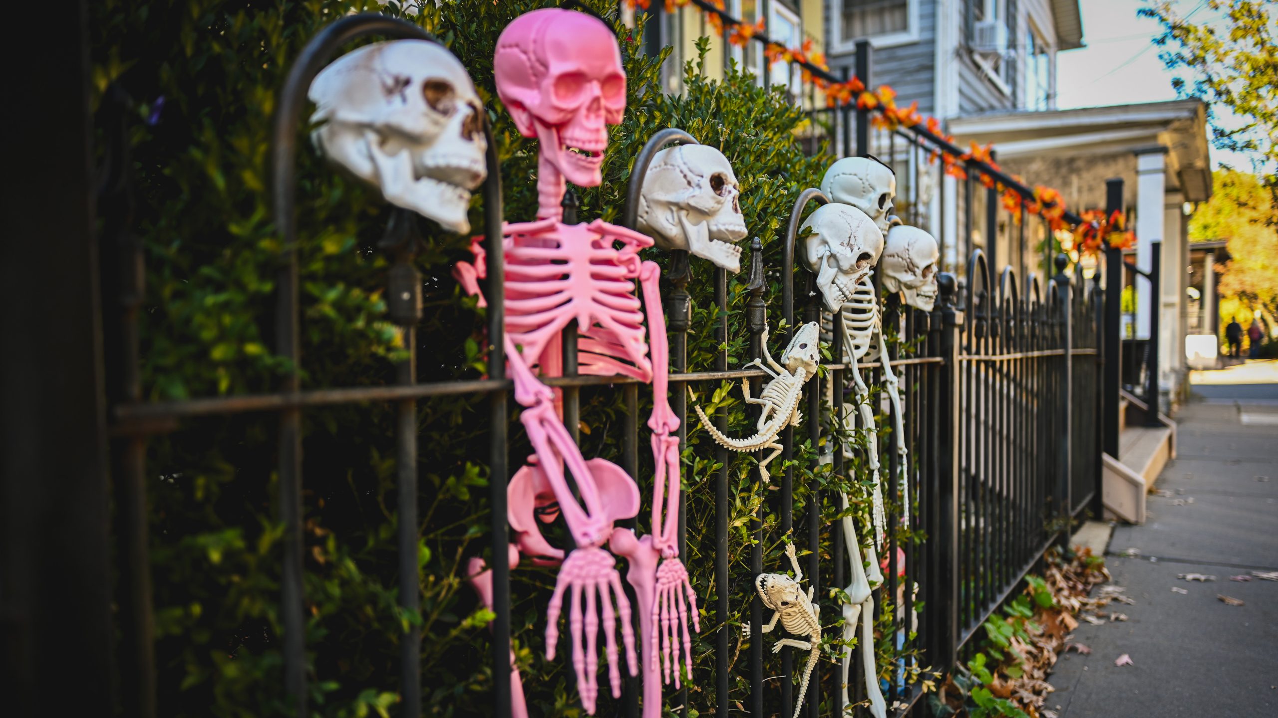 America's best cities for Halloween, ranked — FOX 9, Golden Valley Community news
