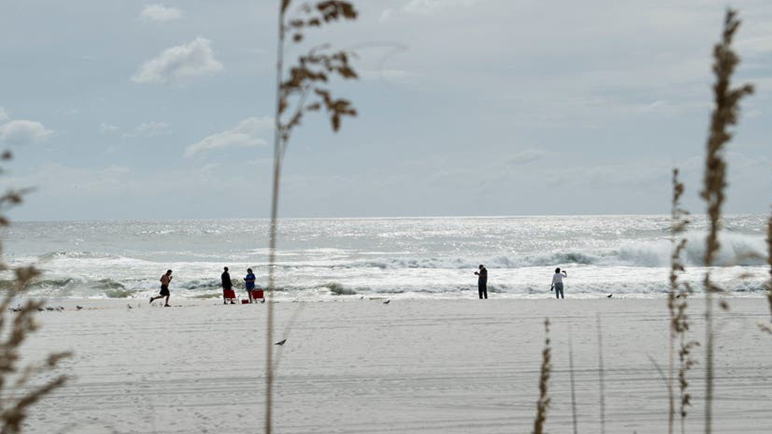 Father of 2 drowns after being caught in current trying to rescue seagull caught in fishing line — Golden Valley Community news