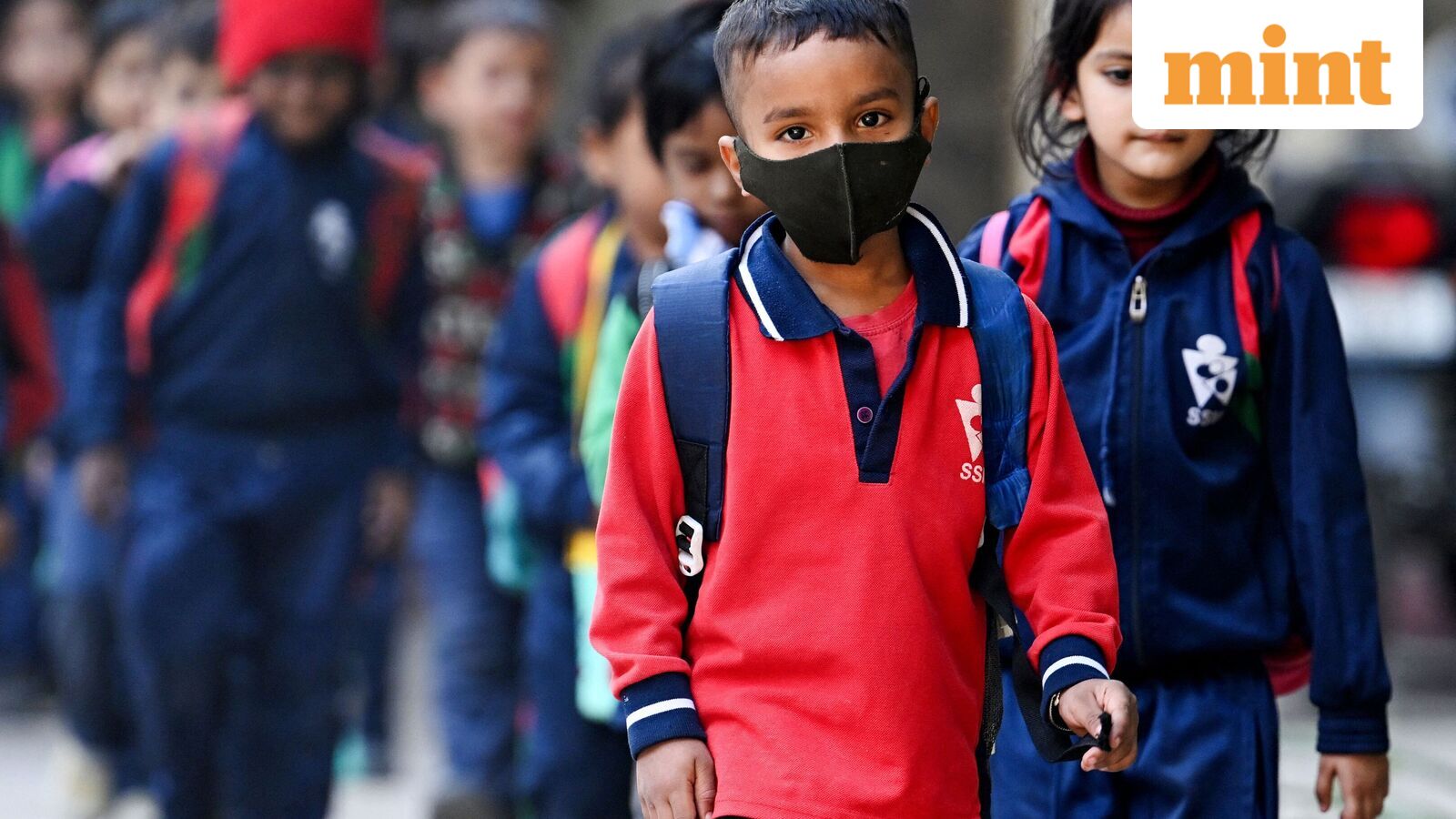 Chennai school holiday, Oct 21: Schools shut in four Tamil Nadu districts as heavy rains predicted | Check IMD alert — Mint India, Golden Valley Schools news